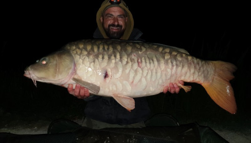 A 26 lb carp from Jonchery, Craig Cicero, Sep 2019