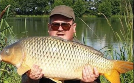 A carp from Jonchery, Jul 2019