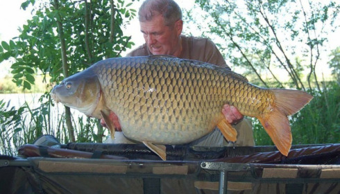 A carp from Jonchery, May 2017