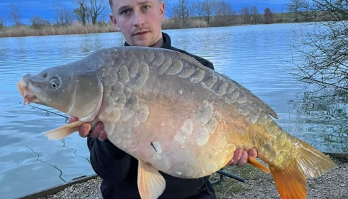 A carp from Jonchery, Louis Gee, Mar 2023
