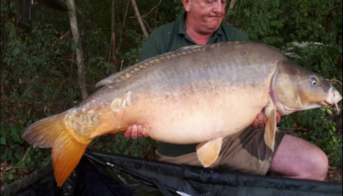A carp from Jonchery, Aug 2019