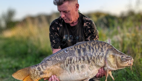 A fish from Jonchery, Jul 2023