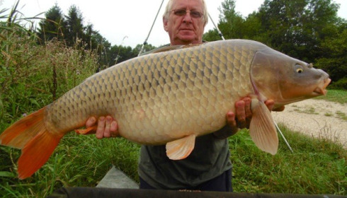 A carp from Jonchery, Jul 2014