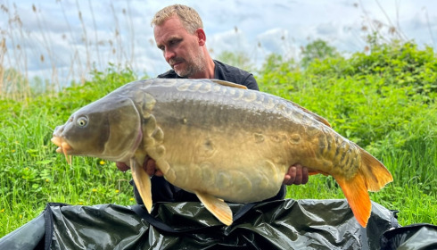 A carp from Jonchery, May 2023