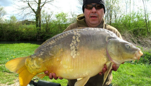 A carp from Jonchery, Apr 2014