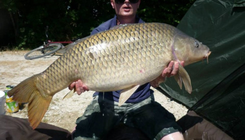 A carp from Jonchery, Jul 2013