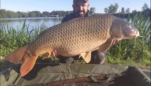 A carp from Jonchery, Sep 2019