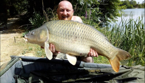 A carp from Jonchery, Jul 2019