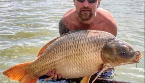 A carp from Jonchery, Jul 2019