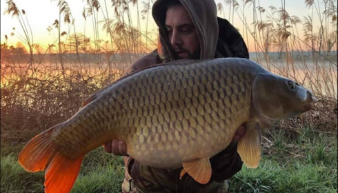 A carp from Jonchery, Apr 2019