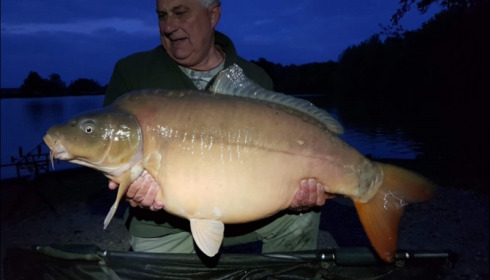 A carp from Jonchery, May 2019