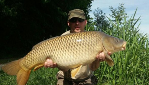 A carp from Jonchery, May 2017