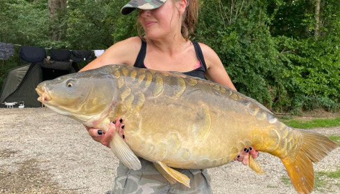 A carp from Jonchery, Jul 2023
