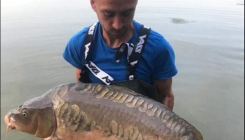 A carp from Jonchery, Jul 2019