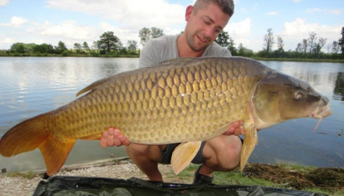 A carp from Jonchery, Jul 2014