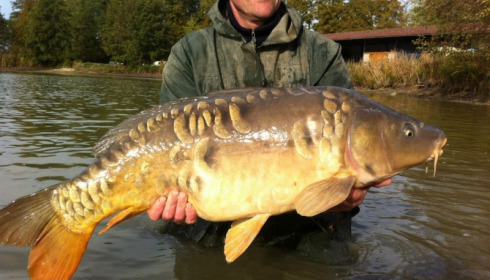 A carp from Jonchery, Nov 2012