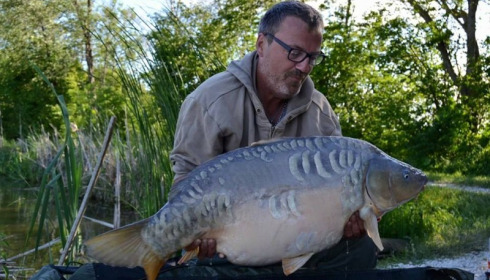 A carp from Jonchery, May 2015