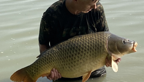 A 49 lb 8 oz fish from Jonchery, Pb 49 8 common, Aug 2022