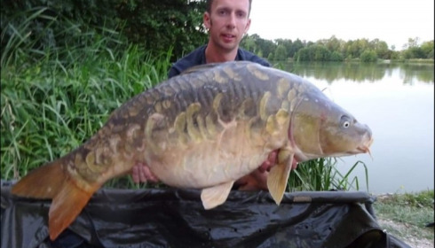 A carp from Jonchery, Aug 2019