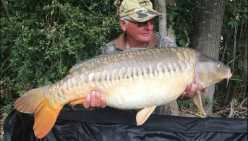 A carp from Jonchery, Sep 2019