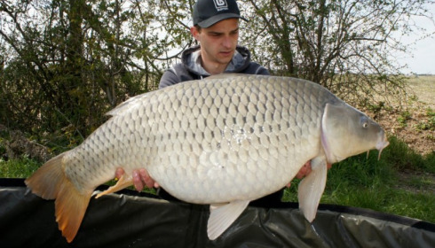 A carp from Jonchery, Apr 2012