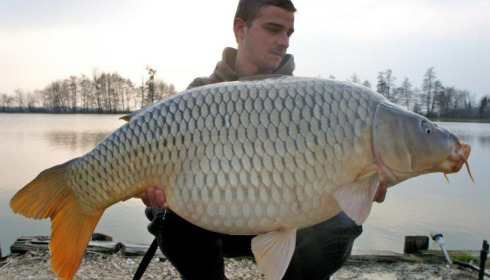 A carp from Jonchery, Apr 2013