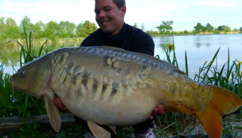 A carp from Jonchery, May 2014