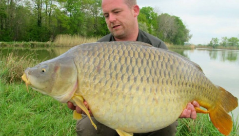 A carp from Jonchery, Swim 5, Apr 2014