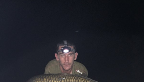 A carp from Jonchery, Carl Smith, Sep 2016