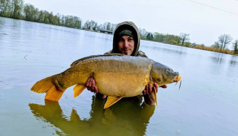 A carp from Jonchery, Apr 2018