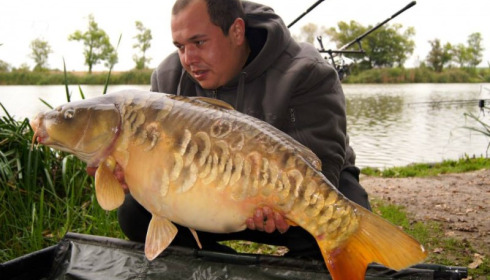 A carp from Jonchery, Oct 2013