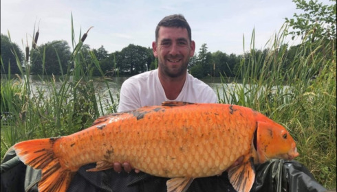 A carp from Jonchery, Jul 2019