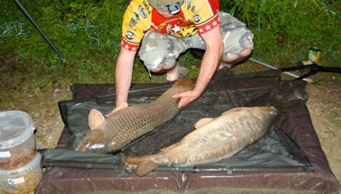 A carp from Jonchery, Sep 2013