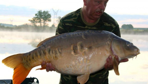 A carp from Jonchery, Apr 2014