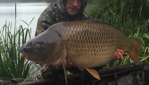 A carp from Jonchery, Carl Smith, Sep 2016