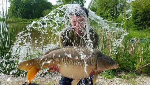 A carp from Jonchery, May 2015