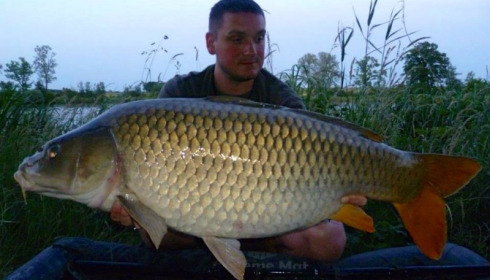A carp from Jonchery, Stefan, Jul 2014