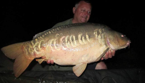 A carp from Jonchery, Peg 3, Sep 2016
