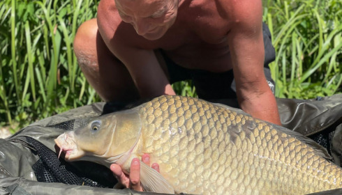A fish from Jonchery, Aug 2022