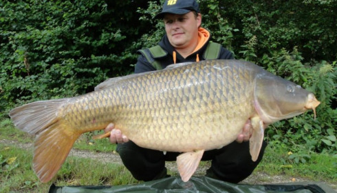 A carp from Jonchery, Jul 2014