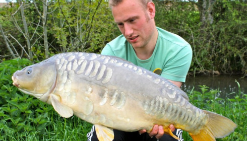 A carp from Jonchery, May 2012