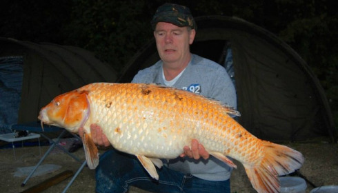 A carp from Jonchery, Sep 2013