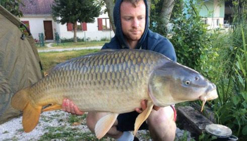 A carp from Jonchery, Jun 2014