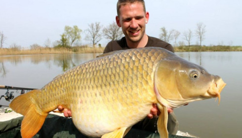 A carp from Jonchery, Swim 3, Apr 2014