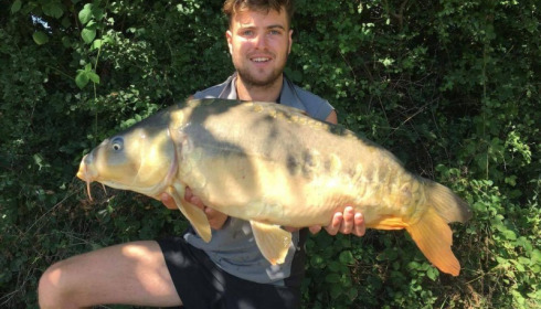 A carp from Jonchery, Aug 2017