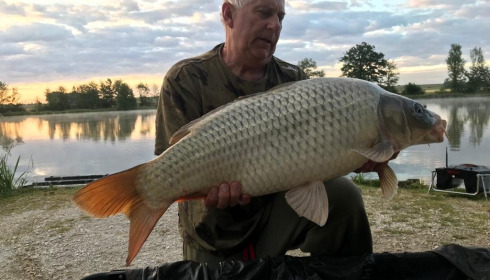 A carp from Jonchery, Jun 2022