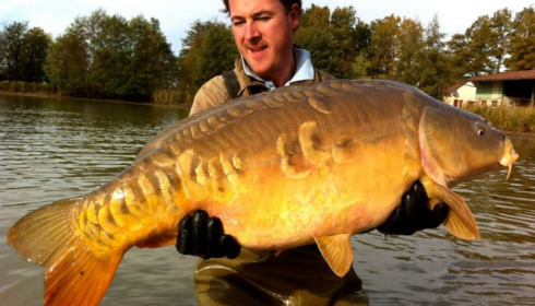 A carp from Jonchery, Nov 2012
