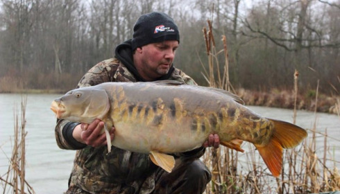 A carp from Jonchery, Nick Burrage, Mar 2016