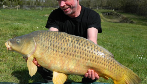 A carp from Jonchery, Cliff Hills, Apr 2015