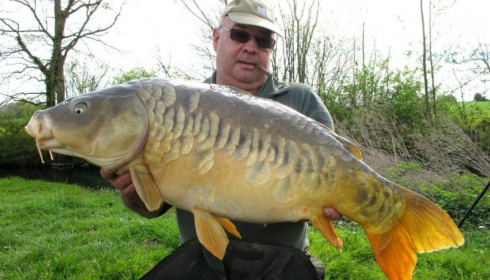 A carp from Jonchery, Apr 2014
